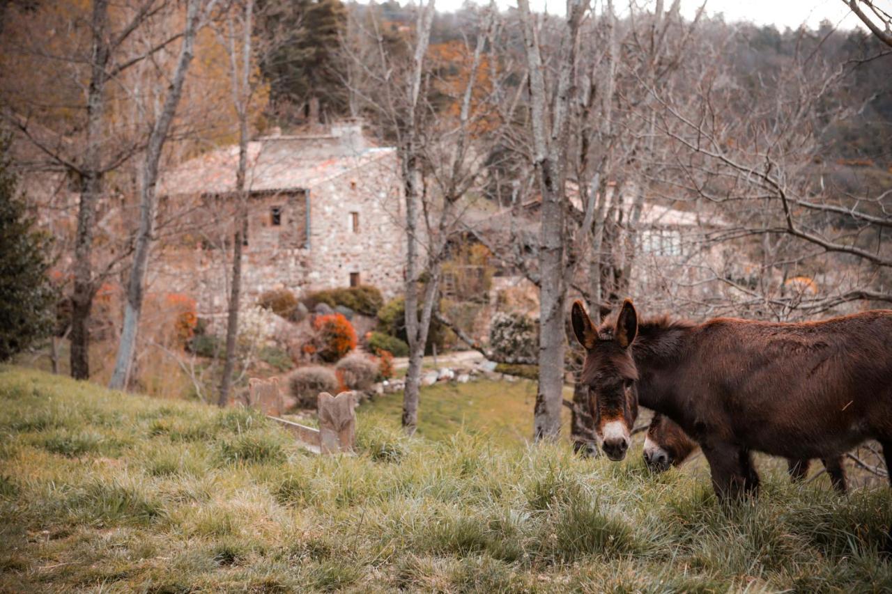 Maison D'Hotes Le Hameau De La Mure Saint-Laurent-du-Pape Екстериор снимка
