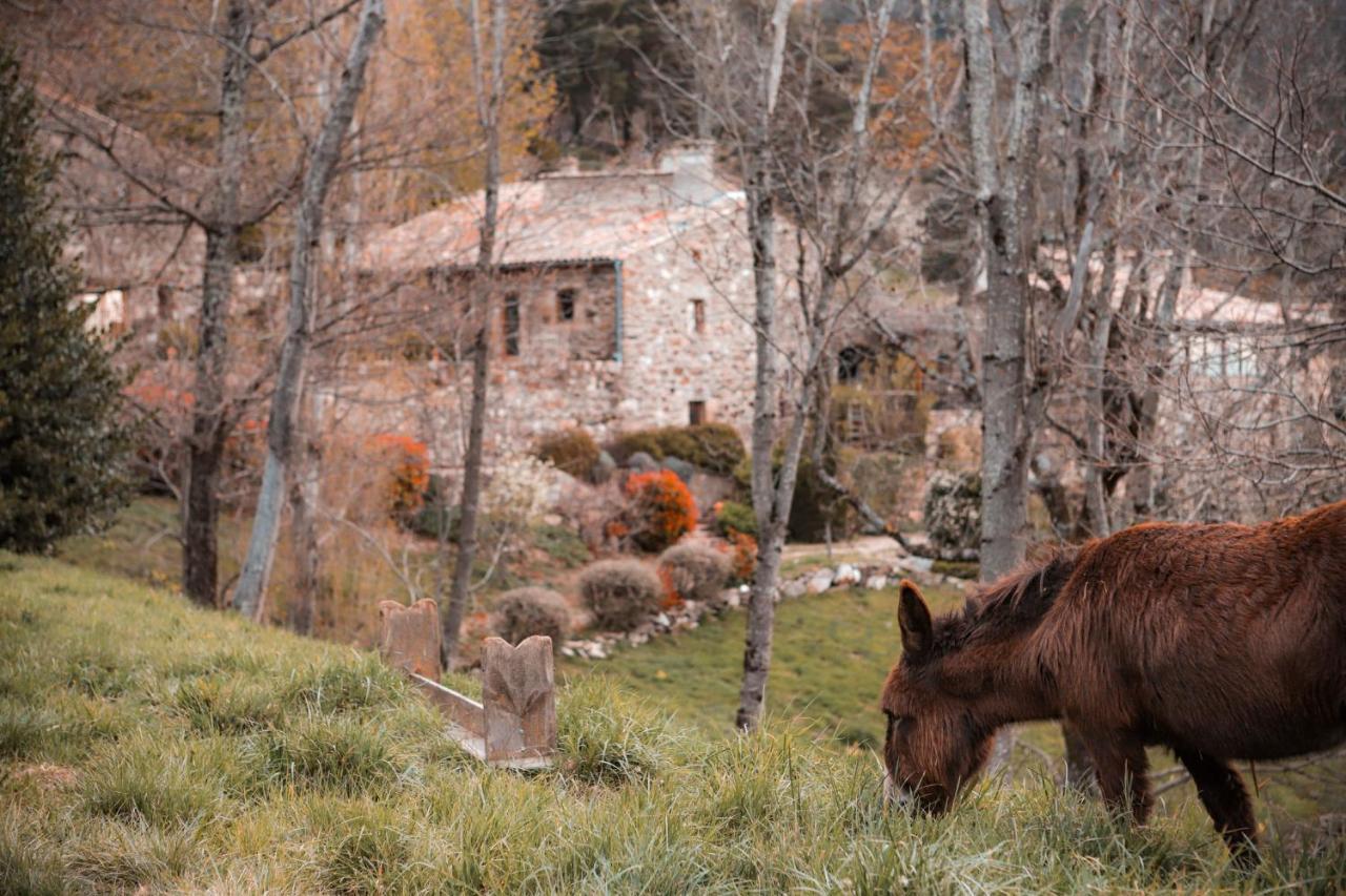 Maison D'Hotes Le Hameau De La Mure Saint-Laurent-du-Pape Екстериор снимка